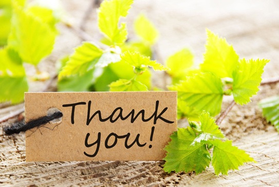 Lòng biết ơn – Chiếc “vitamin tinh thần” mà ai cũng nên uống mỗi ngày