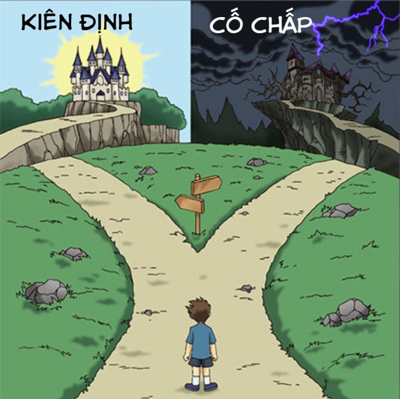 Sự khác nhau giữa kiên trì và cố chấp – hay là tôi có đang đâm đầu vào tường không?