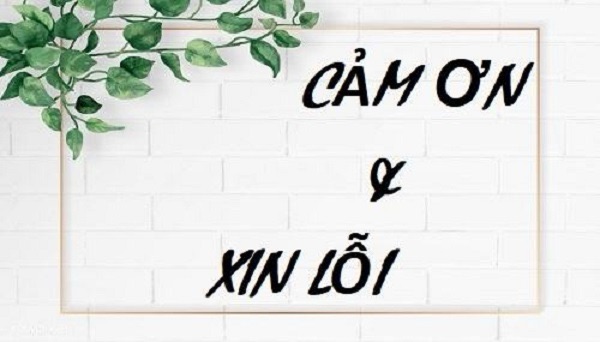 Nghệ thuật xin lỗi và cảm ơn của người Nhật – Nhỏ mà sâu, nhẹ mà thấm