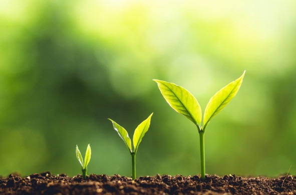 Trưởng thành không phải là ít sai – mà là biết xin lỗi nhanh hơn