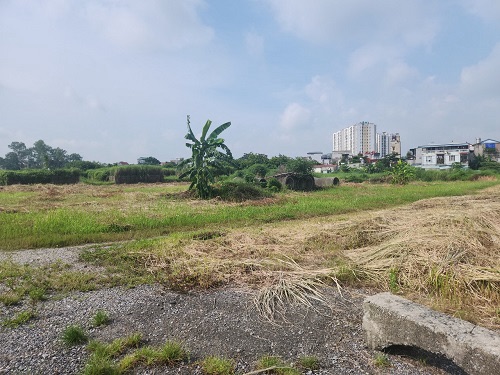 Mua đất chờ quy hoạch: Đánh bạc hay tính toán?